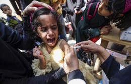 Hơn 1.300 người mắc bệnh bạch hầu tại Yemen