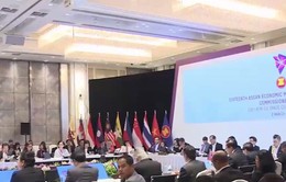 Tăng cường hợp tác thương mại ASEAN - EU