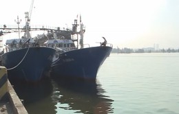 [Tiêu điểm] Tàu vỏ thép "đắm trên bờ", ngư dân có nguy cơ vỡ nợ