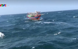 Hải quân cứu tàu cá ngư dân Hải Phòng gặp nạn trên biển