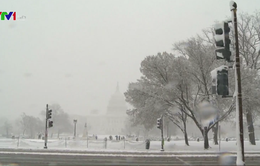 Bão tuyết tấn công Đông Bắc nước Mỹ, hơn 7.000 chuyến bay bị hủy