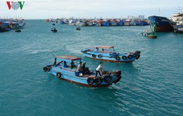 Tạm dừng thu phí tại cảng cá tư nhân mới ở đảo Phú Quý, Bình Thuận