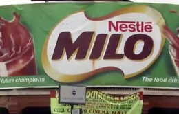 Nestle bị cáo buộc thông tin sai về sản phẩm Milo