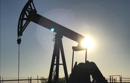 IEA kêu gọi đẩy mạnh đầu tư vào ngành dầu mỏ