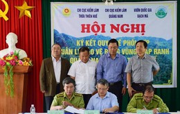 Thừa Thiên - Huế và Quảng Nam phối hợp quản lý bảo vệ rừng vùng giáp ranh