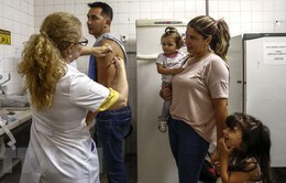 Brazil phát hiện 8 đột biến gene của virus sốt vàng da