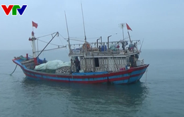 BĐBP Quảng Bình phối hợp cứu nạn tàu cá cùng 9 thuyền viên