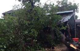 Đắk Lắk: Mưa lớn kèm lốc xoáy làm hơn 100 nhà dân bị tốc mái