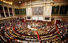 Quốc hội Pháp sẽ thảo luận về vụ không kích Syria