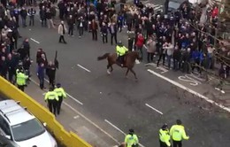 Cảnh sát dùng kỵ binh giải tán bạo loạn sau trận derby London