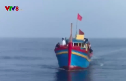 Quảng Trị bắt tàu đánh cá bằng xung điện