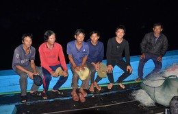 Quảng Ngãi: Đưa 6 ngư dân trên tàu bị đâm chìm ở Hoàng Sa vào bờ