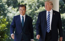 Hàn Quốc và Mỹ sẽ họp thượng đỉnh vào giữa tháng 5 tới
