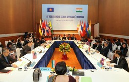 Các quan chức cao cấp ASEAN-Ấn Độ lần thứ 20 nhóm họp