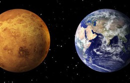 Không phải sao Hỏa, sao Kim mới là hành tinh có sự sống?