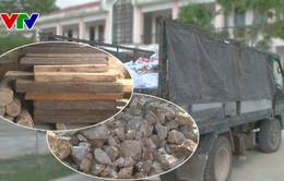 Phú Yên phát hiện nhiều vụ vận chuyển lâm, khoáng sản trái phép