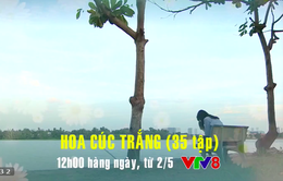Phim truyện Việt Nam "Hoa cúc trắng" đang được phát sóng lúc 12h hàng ngày trên VTV8