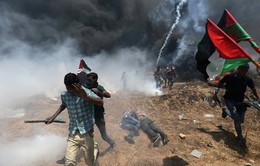 Nhiều nước phản đối bạo lực đẫm máu tại dải Gaza