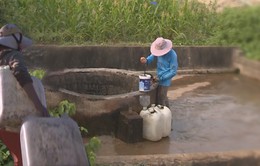 Quảng Ngãi: Dự án cấp nước ngọt tại đảo Lý Sơn bị nhiễm mặn
