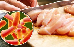 Nhiễm salmonella từ thực phẩm, cách phòng chống