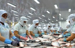 Thủy sản nhập khẩu về Việt Nam ngày càng tăng