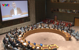 Liên Hợp Quốc thảo luận mở về xung đột Israel và Palestine