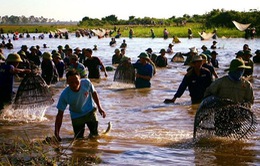 Hà Tĩnh: Hàng ngàn người tham gia lễ hội bắt cá truyền thống