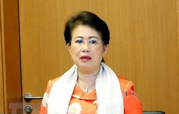 Cách chức tất cả các chức vụ trong Đảng đối với bà Phan Thị Mỹ Thanh