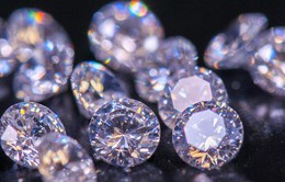 Học sinh tiểu học bị bắt vì trộm trang sức kim cương hơn 14 tỷ đồng