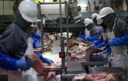 Thịt lợn Mỹ "gặp khó" khi vào thị trường Trung Quốc
