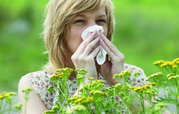 Lời khuyên của bác sĩ đối với dị ứng phấn hoa
