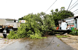 Mưa lớn, lốc xoáy gây nhiều thiệt hại tại Gia Lai và Quảng Bình
