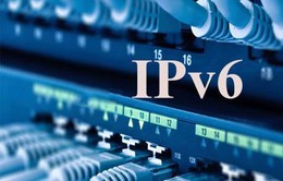 Hơn 7 triệu người Việt sử dụng giao thức Internet thế hệ 6 (IPv6)