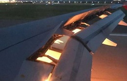 Máy bay chở đội tuyển Saudi Arabia bốc cháy