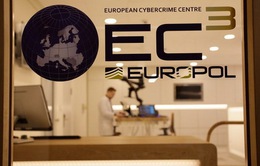 Europol truy quét tội phạm lừa đảo trên mạng
