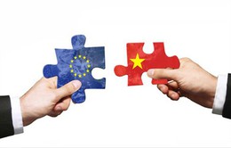 Hội thảo "Thúc đẩy quan hệ Việt Nam - EU thông qua FTA sắp ký"