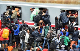 Hungary thông qua dự luật hình sự hóa hành vi hỗ trợ người nhập cư không có giấy tờ tùy thân