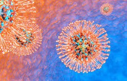 Virus Herpes có thể là nguyên nhân chính gây nên bệnh Alzheimer