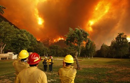 Mỹ: Bang California ban bố tình trạng khẩn cấp do cháy rừng