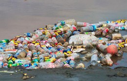 Đại sứ quán các nước ký bộ Quy tắc ứng xử về giảm thiểu rác thải nhựa