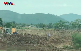 Hà Tĩnh: "Nóng" tình trạng trộm đất bán cho lò gạch