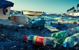 WWF cảnh báo tình trạng ô nhiễm rác thải nhựa tại Địa Trung Hải