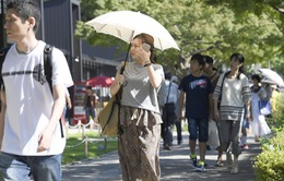 Nắng nóng kỷ lục tại Nhật Bản, 2.000 người bị say nắng, kiệt sức