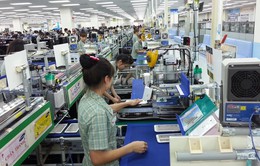 IMF: Việt Nam đã có một năm tăng trưởng tốt