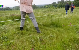 Cuộc thi cắt cỏ quốc tế tại Nga