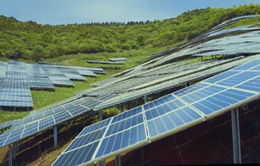 Khởi công dự án điện mặt trời Phước Hữu tại Ninh Thuận