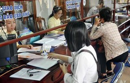 Ngừng thí điểm mô hình Văn phòng đăng ký quyền sử dụng đất một cấp ở Đà Nẵng