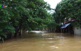 Thiệt hại lớn do bão số 3 tại Yên Bái
