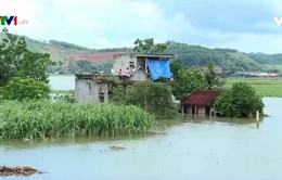 Ngập nặng tại huyện Thạch Thành, tỉnh Thanh Hóa