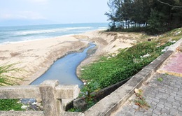 Tập trung xử lý các dự án thoát nước thải ra biển Đà Nẵng
